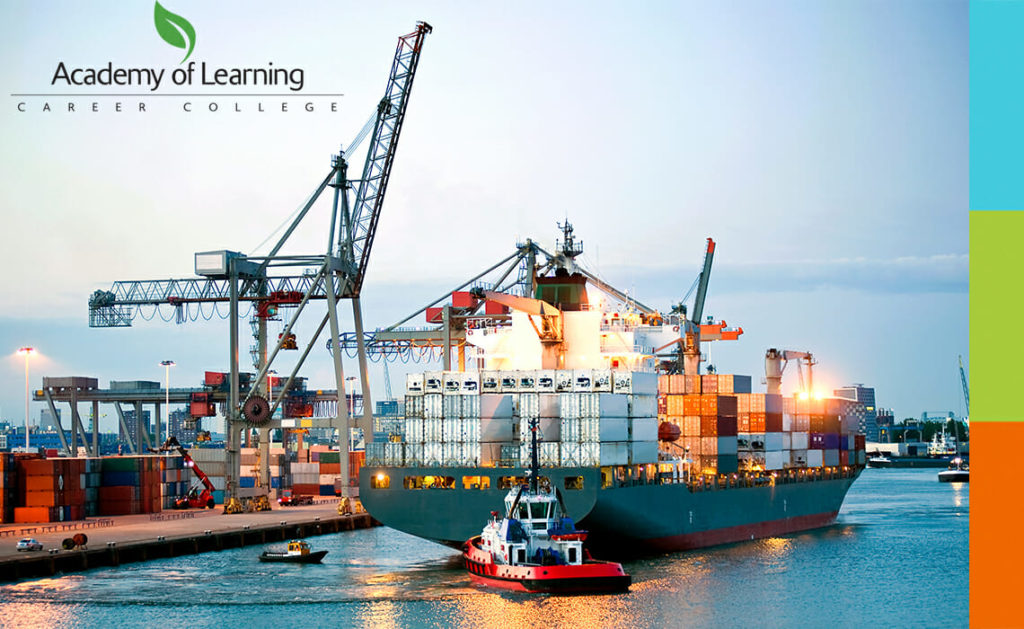 Logistics & Supply Chain Specialist