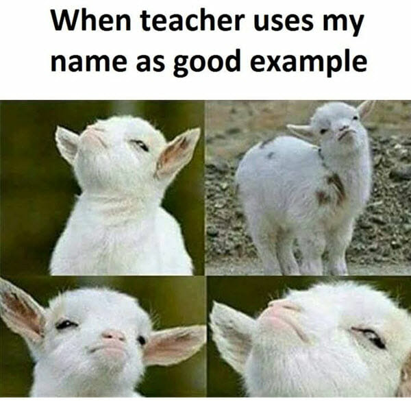 Excellent example to Everyone Excellent example to Everyone