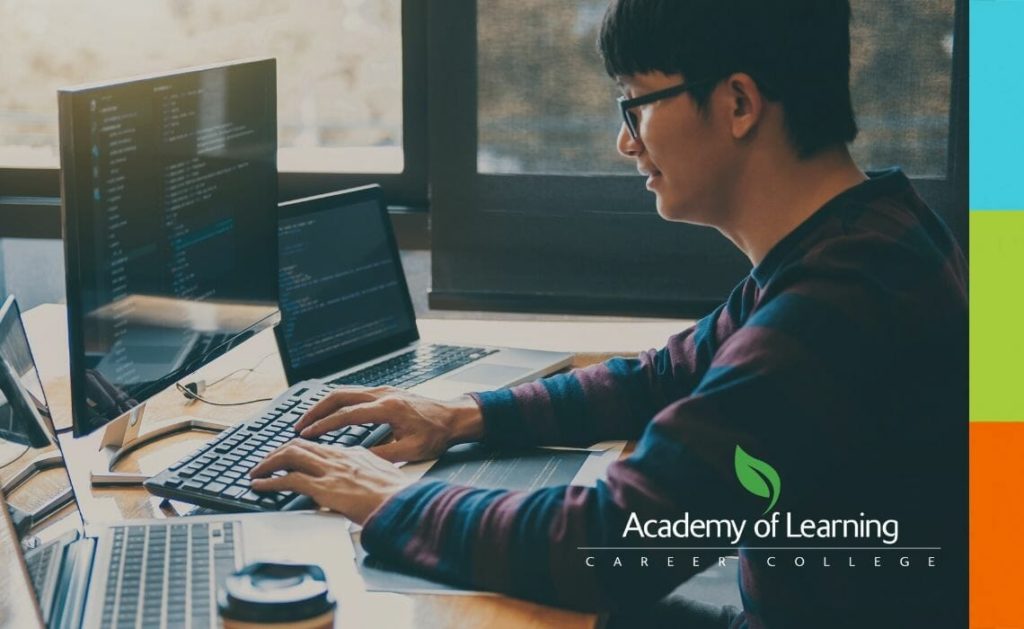 Software & Web Developer