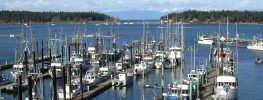Nanaimo marina with fishing boats